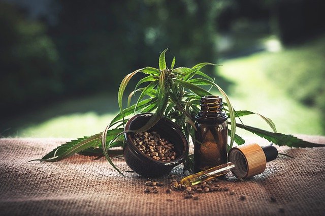 foglie semi ed estratto di cannabis
