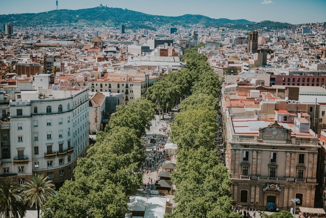 strada alberata nel centro di Barcellona vista dall'alto