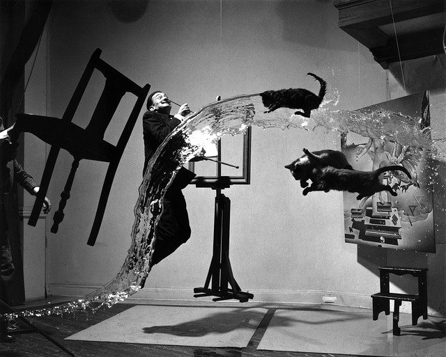foto in bianco e nero del pittori salvador dali con gatti e acqua in aria
