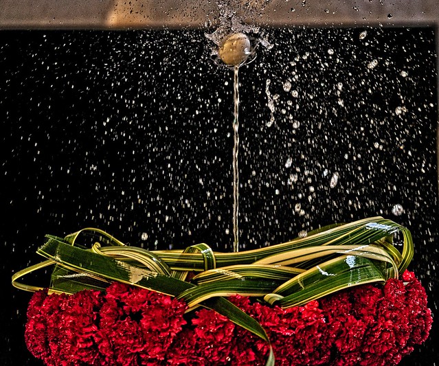 uovo volteggia su getto d'acqua di una fontana decorata con fiori