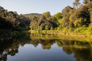 shbarcelona-pantano-can-borrel