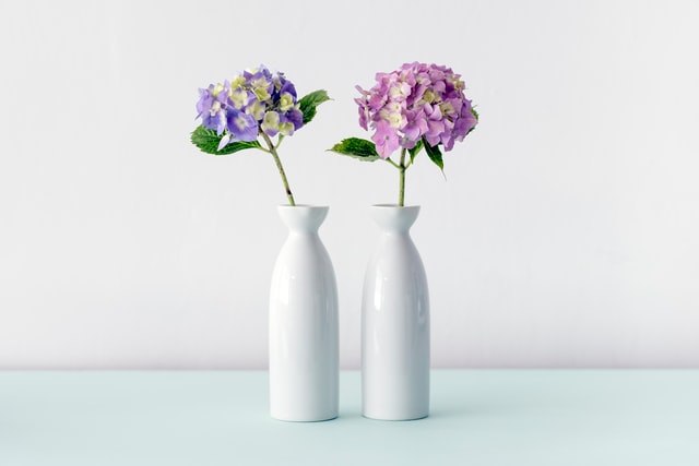 due vasi bianchi con violette