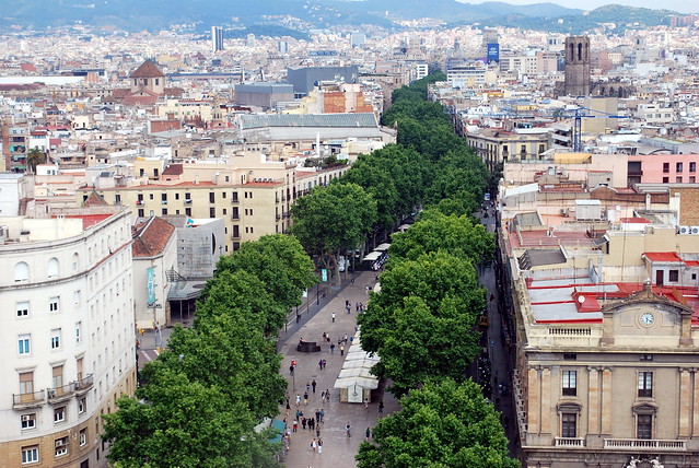 viale alberato pedonale dentro una città visto dall'alto