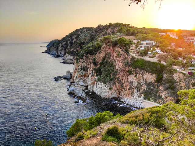 scogliera a picco sul mare con vegetazione al tramonto