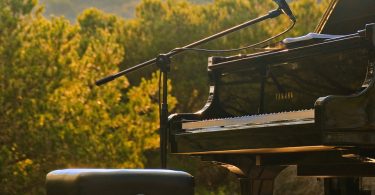 pianoforte nero di fronte agli alberi