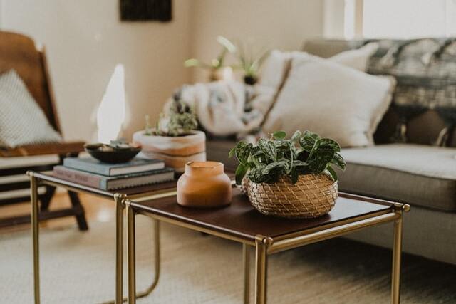 vasi con piante sopra tavolino da soggiorno