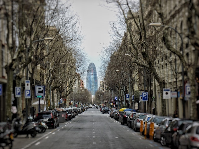 strada cittadina con alberi e auto parcheggiate ai lati