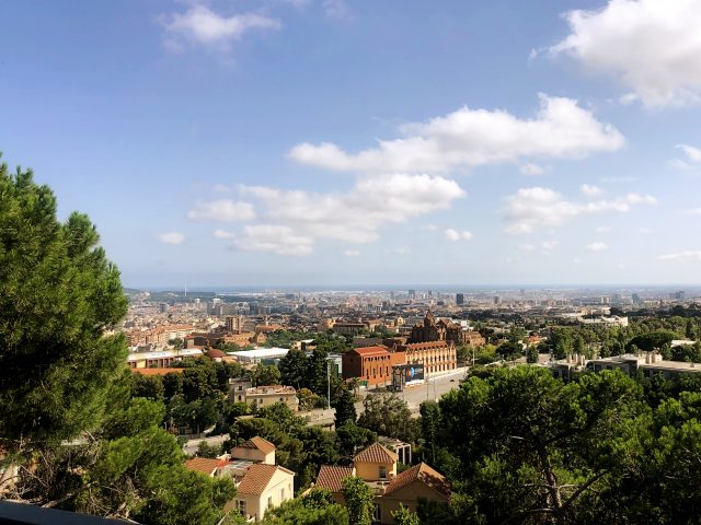 vista panoramica sui tetti di una città con alberi