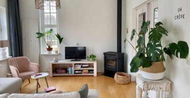 soggiorno di appartamento con parquet divano e piante