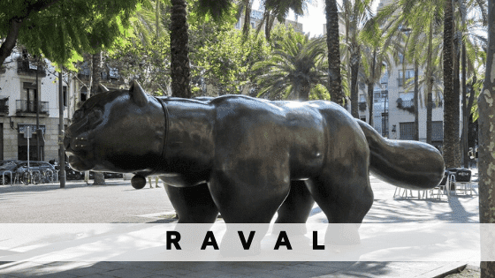 Affitta un appartamento a  Raval